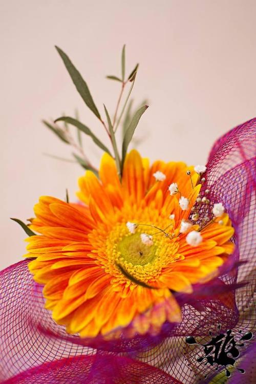 Deň matiek v obradnej miestnosti