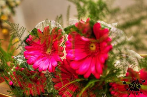 Vítanie detí do života - apríl