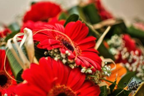 Prijatie jubilantov v obradnej miestnosti - máj