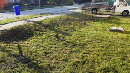 Výsadba nových drevín