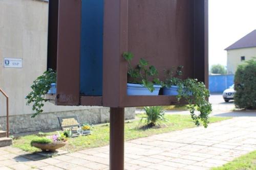 Výsadba verejných priestranstiev