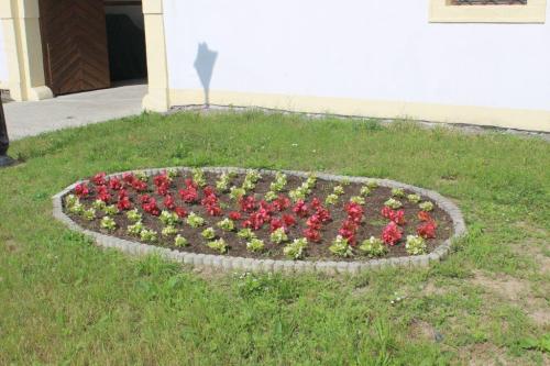 Výsadba verejných priestranstiev