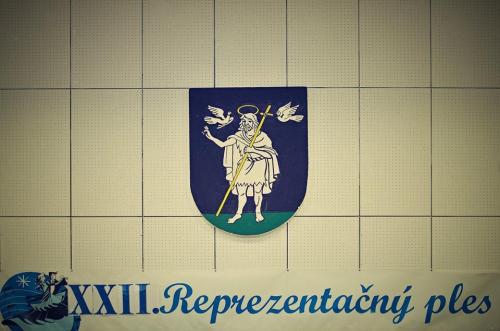 XXII.reprezentačný ples obce