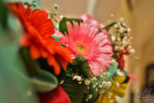 Prijatie jubilantov v obradnej miestnosti - júl