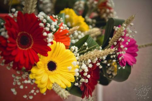 Vítanie detí do života - október